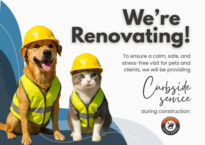 Carousel Slide 1: Learn More >>