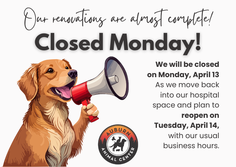 Carousel Slide 1: Learn more >>