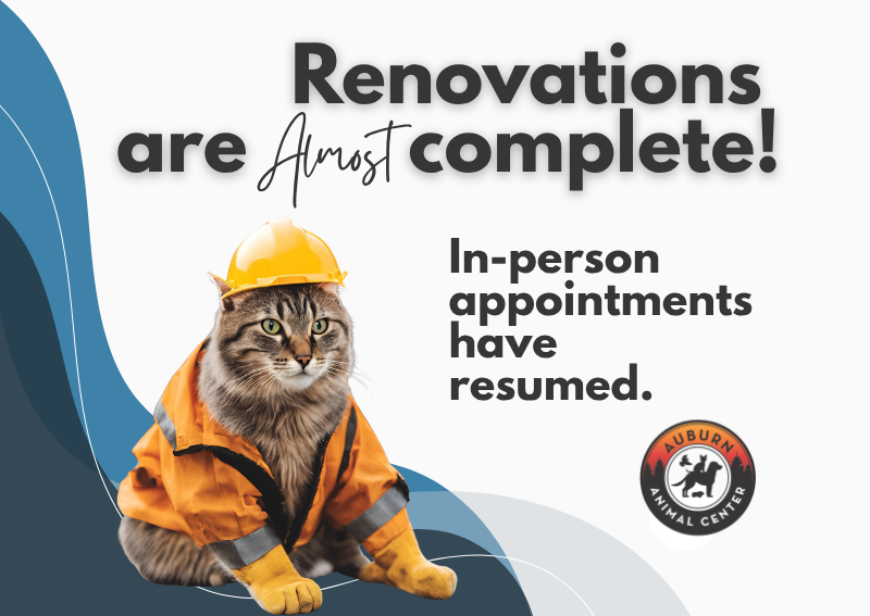 Carousel Slide 1: Learn more >>