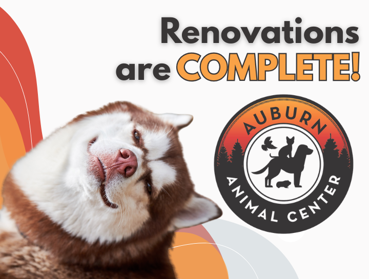 Our Renovations Are Complete!
